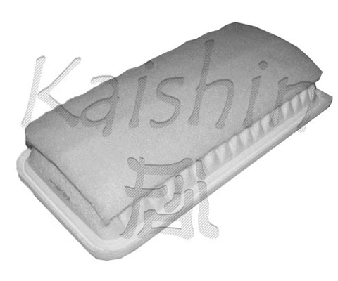 Air Filter (A10171)