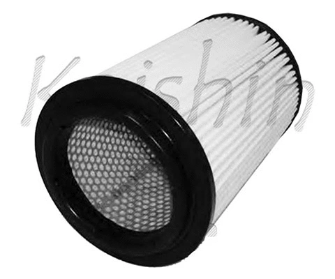 Air Filter (A10153)