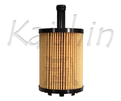 Oil Filter (O970)