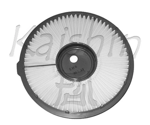 Air Filter (A347)