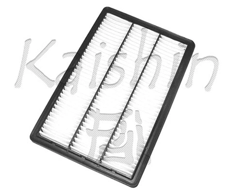 Air Filter (A3017)