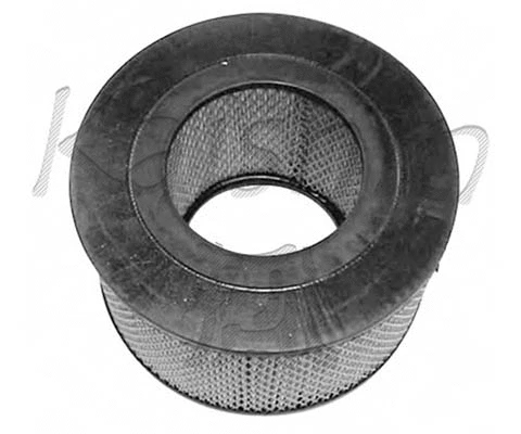 Air Filter (A10050)