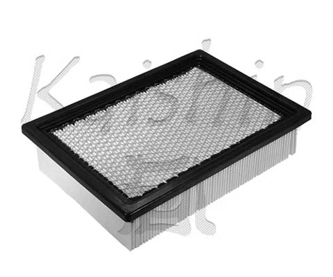 Air Filter (A10093)