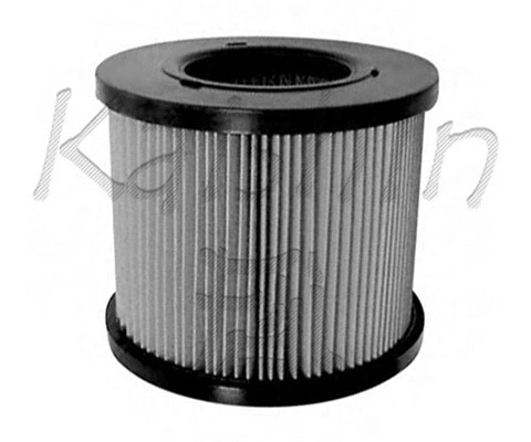 Air Filter (A525)