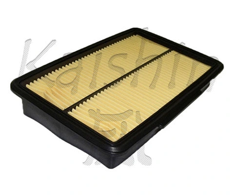 Air Filter (A10264)