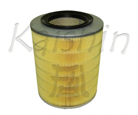 Air Filter (A10223)