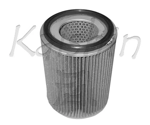 Air Filter (AN210)