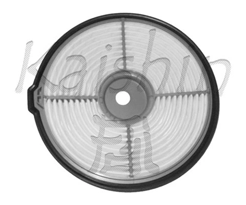 Air Filter (A791)
