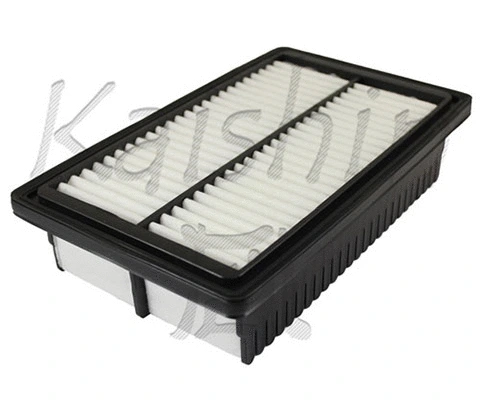 Air Filter (A10345)