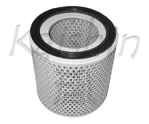 Air Filter (A731)