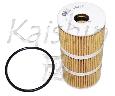 Oil Filter (O1005)