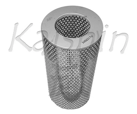 Air Filter (A170)