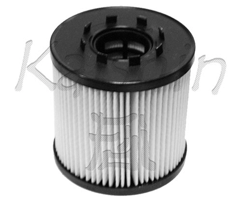Oil Filter (O971)
