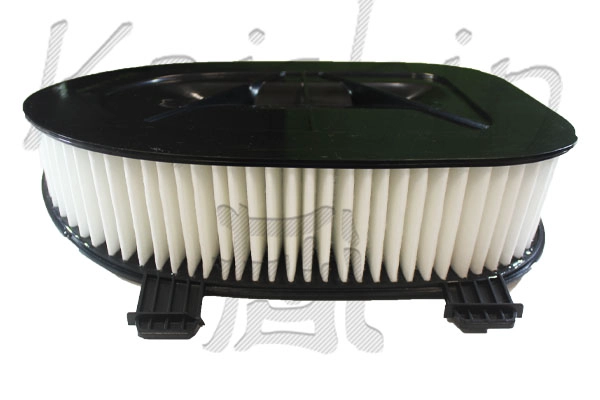 Air Filter (A10469)