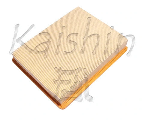 Air Filter (A10209)