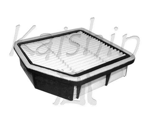 Air Filter (A10165)