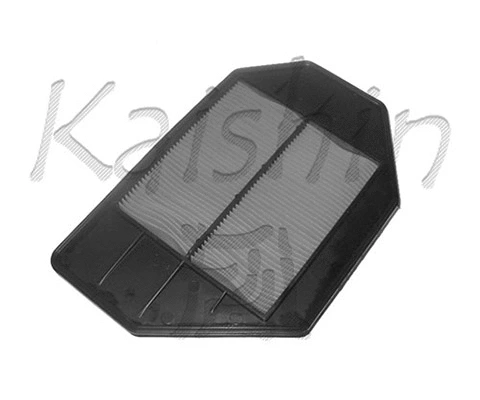 Air Filter (A891)