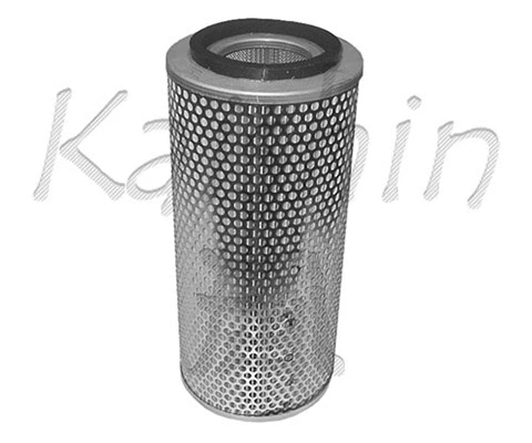 Air Filter (AN215)