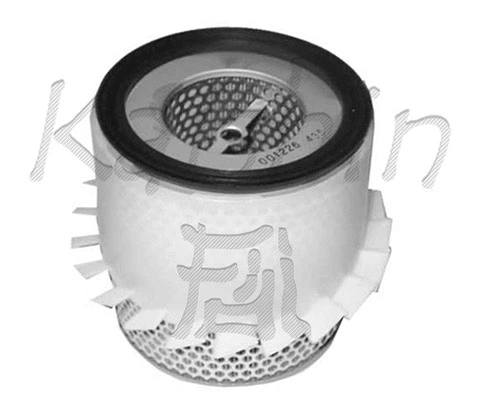 Air Filter (A435)