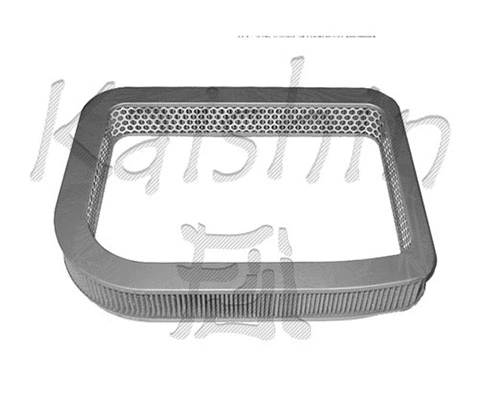 Air Filter (A834)