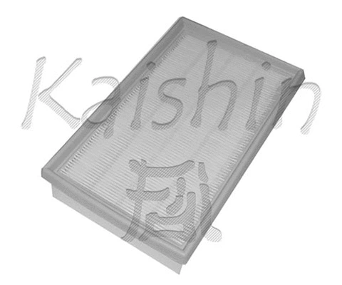 Air Filter (A970)