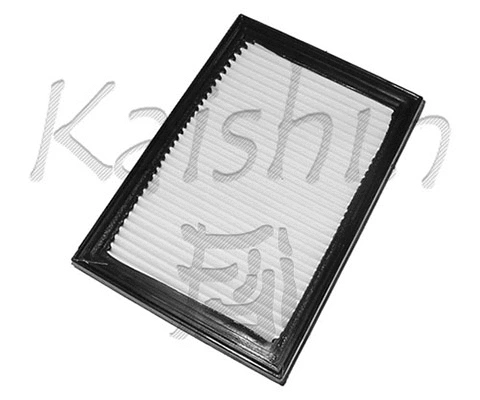 Air Filter (A443)