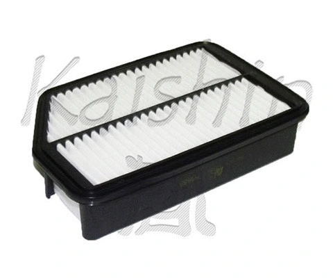 Air Filter (A10257)
