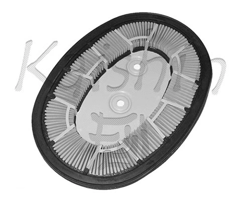 Air Filter (AN220)
