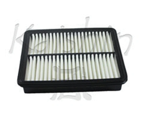 Air Filter (A10396)