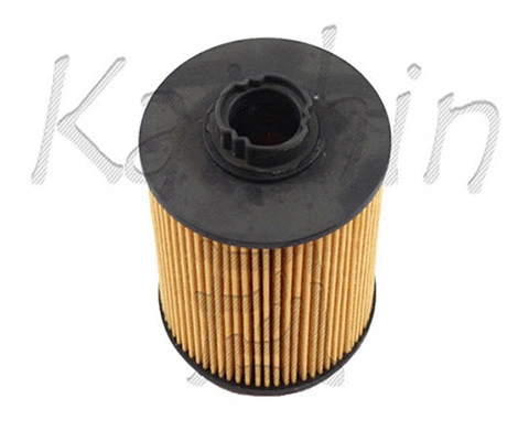 Fuel Filter (O1016)