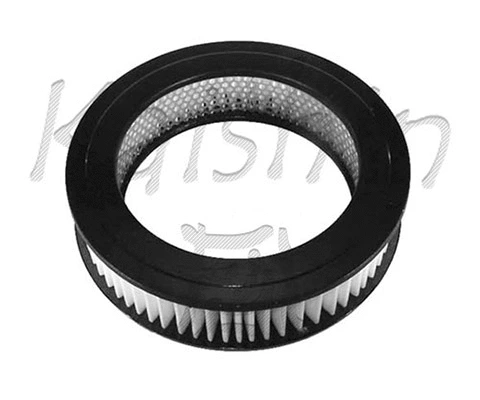 Air Filter (A102)