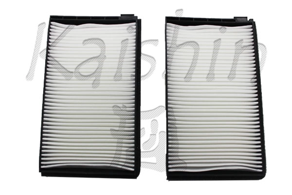 Filter, cabin air (A20155)