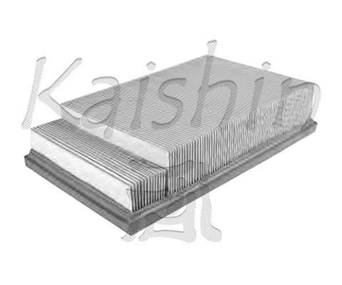 Air Filter (A10161)