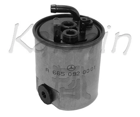 Fuel Filter (FC1102)