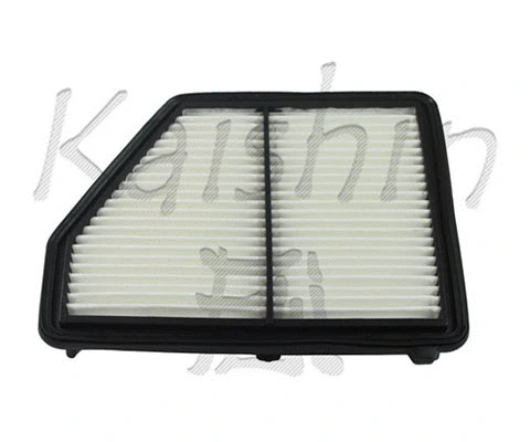 Air Filter (A10355)