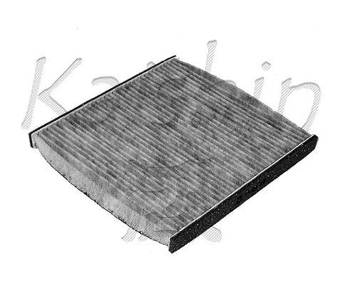 Filter, cabin air (A20100)