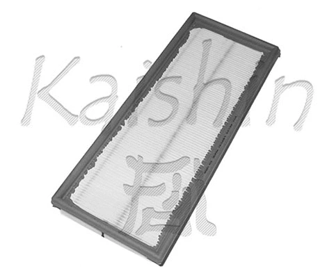 Air Filter (A976)