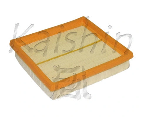 Air Filter (A10250)
