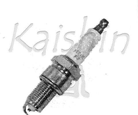 Spark Plug (EC235544)