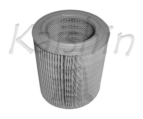 Air Filter (A10115)