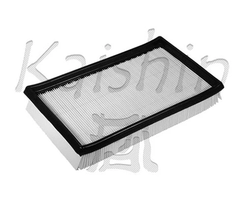 Air Filter (A10145)