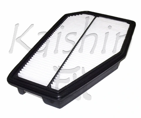 Air Filter (A10301)