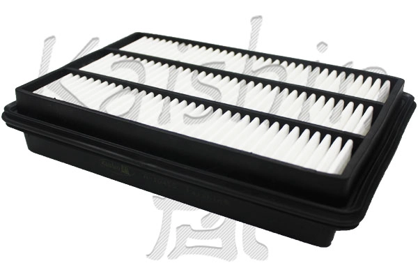 Air Filter (A10455)