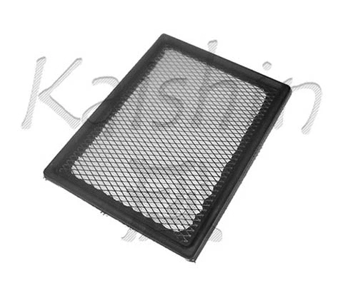 Air Filter (A10037)