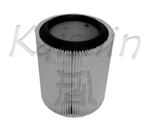 Air Filter (A10118)