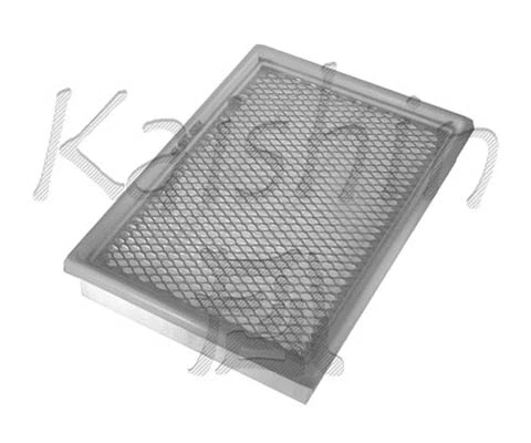 Air Filter (A10020)