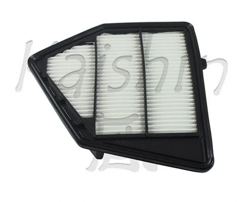 Air Filter (A10365)