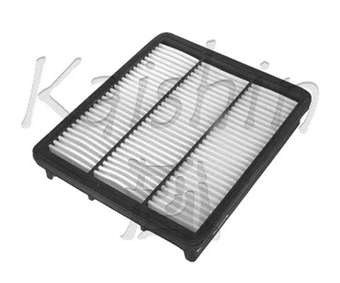 Air Filter (A10021)