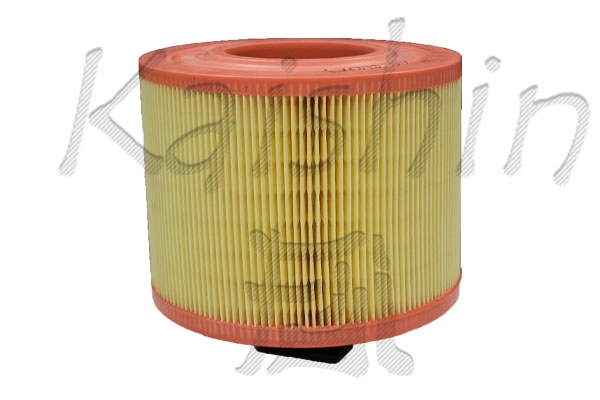 Air Filter (A10463)