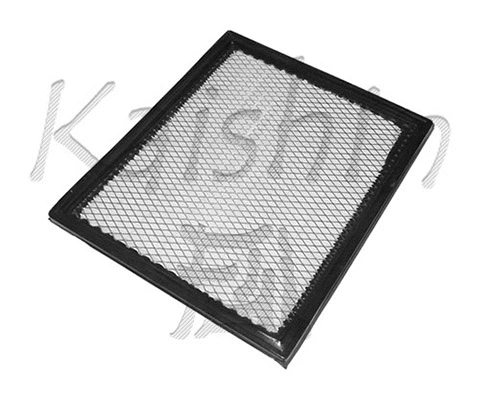 Air Filter (A975)